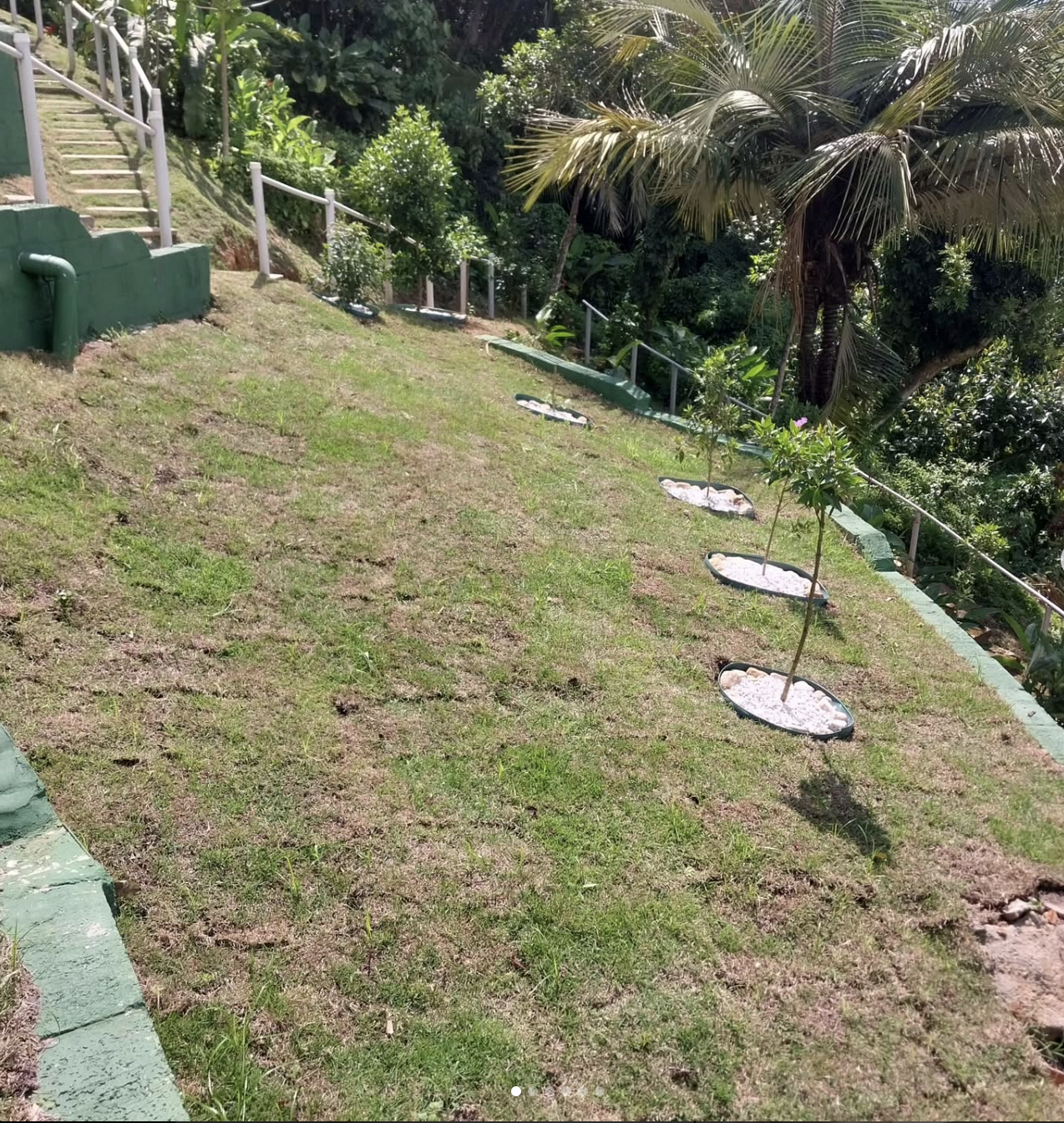 Projeto de jardinagem da Cadore Serviços